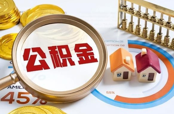 漯河公积金的钱什么时候可以提出来（公积金的钱什么时候可以到账）